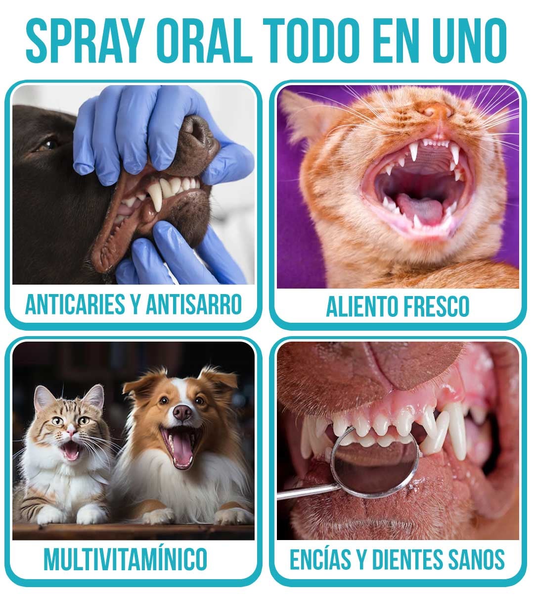 PROMOCIÓN ESPECIAL SOLO POR ESTA SEMANA 2X1 OralPet® Spray Oral Limpiador para Perros y Gatos🐱🐶