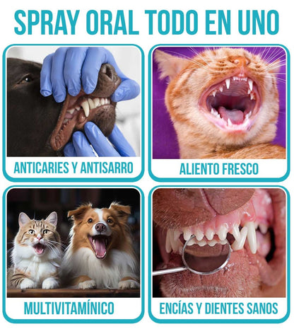 PROMOCIÓN ESPECIAL SOLO POR ESTA SEMANA 2X1 OralPet® Spray Oral Limpiador para Perros y Gatos🐱🐶